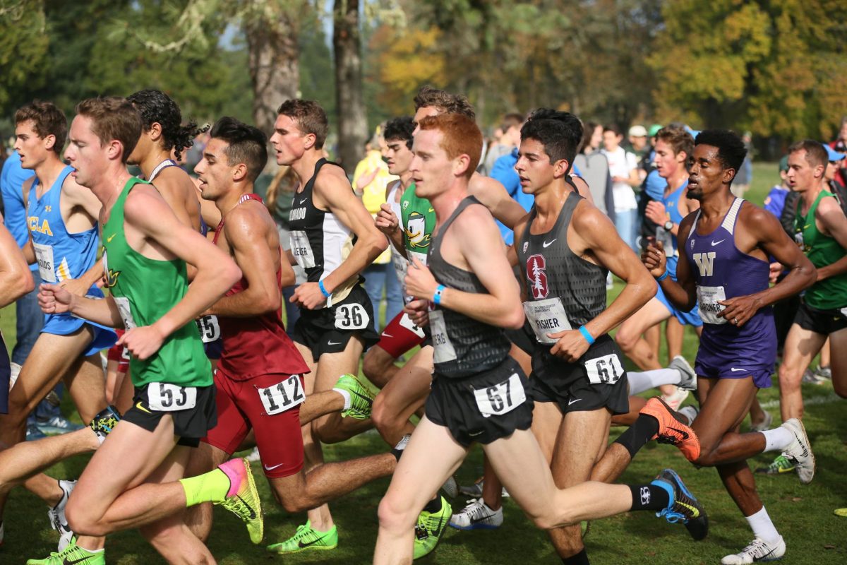 My Experience Getting Recruited to Run Cross Country and Track in College